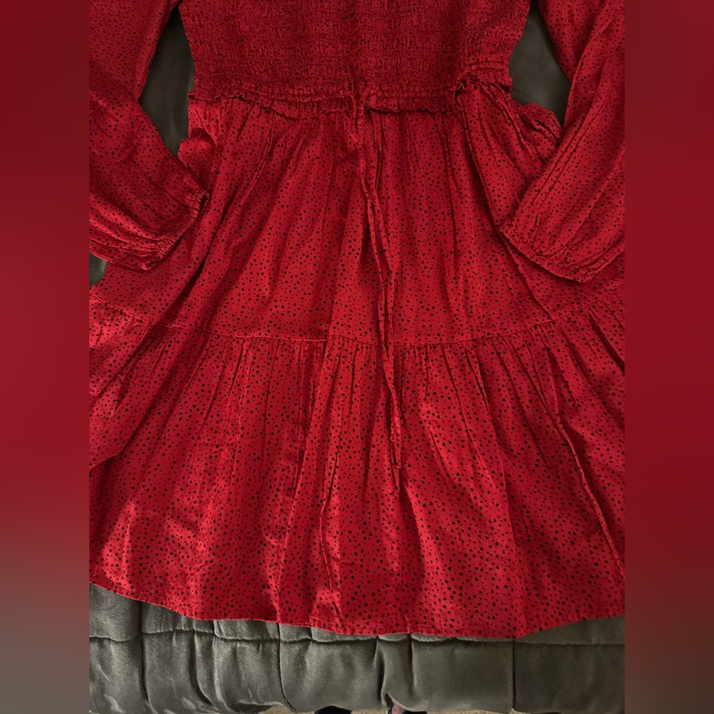 GAP Red Textured Dress - Picture 6 of 9
